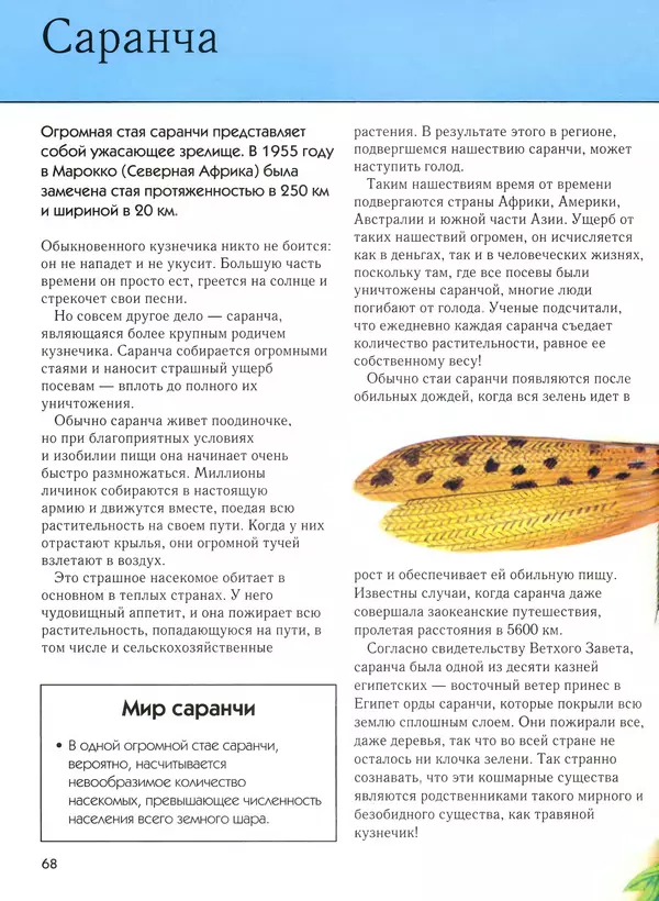  Автор неизвестен - Насекомые. Полная энциклопедия - Страница № 68