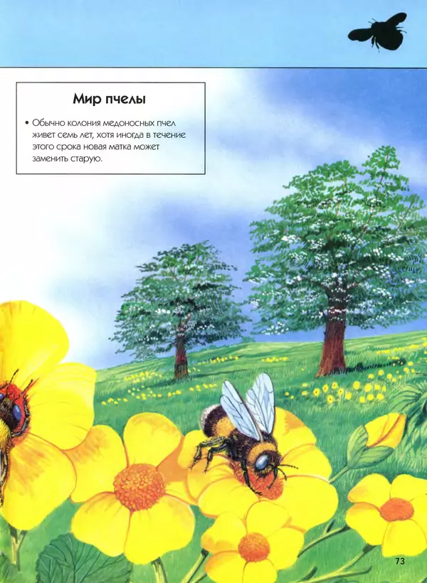  Автор неизвестен - Насекомые. Полная энциклопедия - Страница № 73