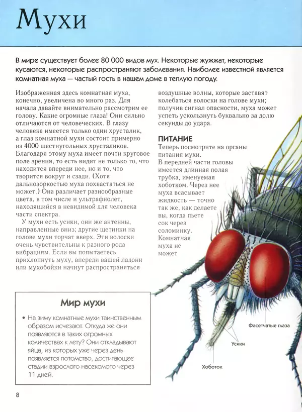  Автор неизвестен - Насекомые. Полная энциклопедия - Страница № 8