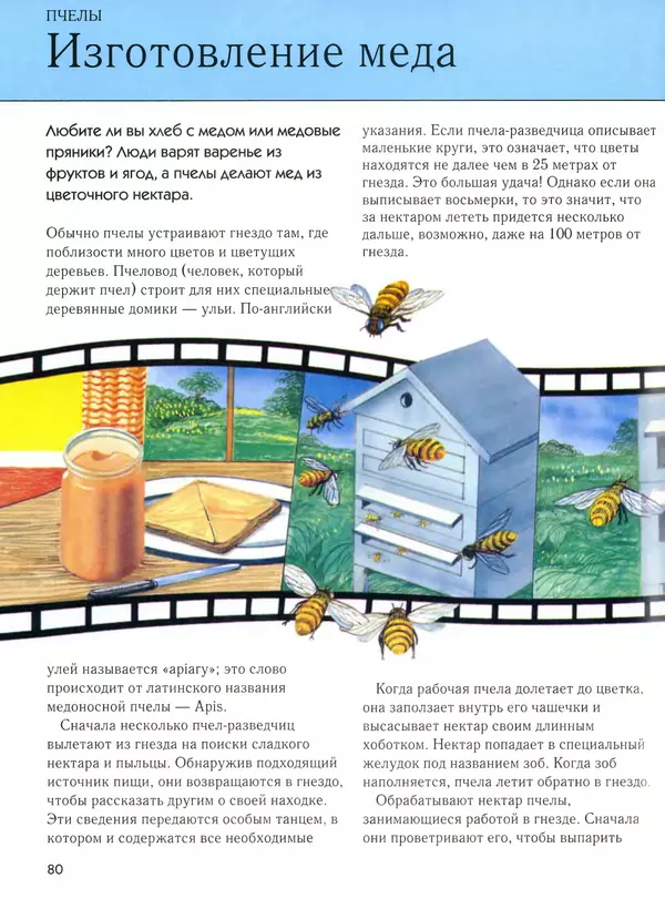  Автор неизвестен - Насекомые. Полная энциклопедия - Страница № 80