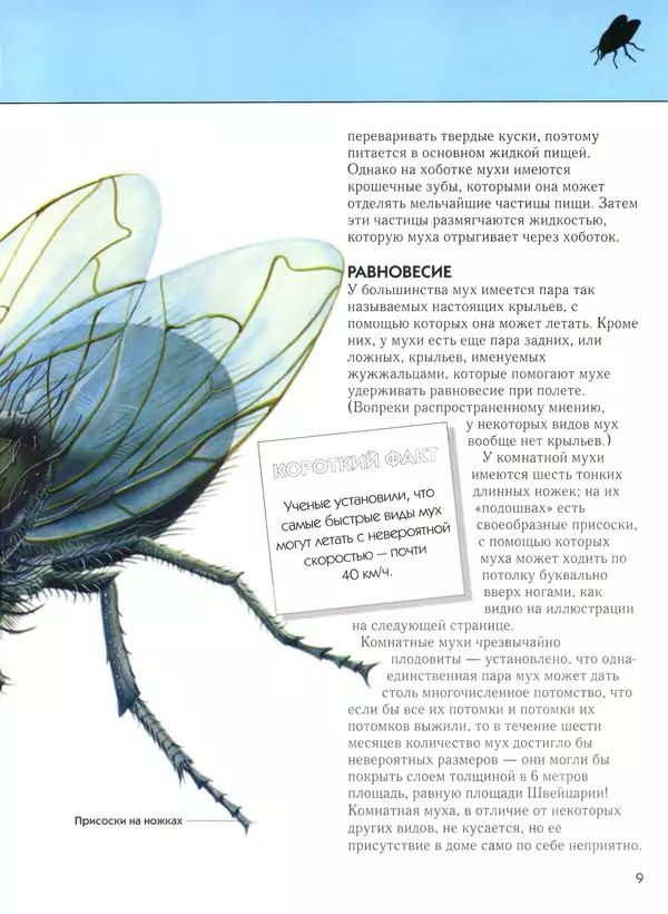  Автор неизвестен - Насекомые. Полная энциклопедия - Страница № 9