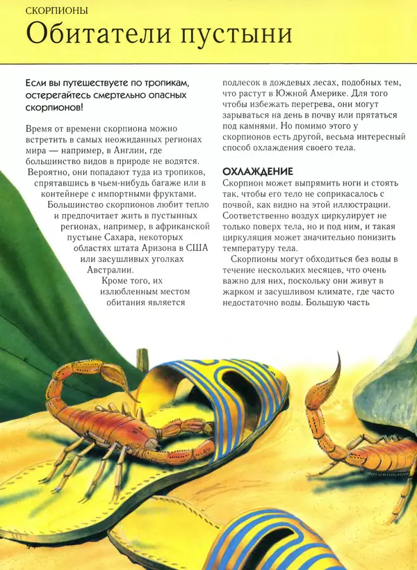  Автор неизвестен - Насекомые. Полная энциклопедия - Страница № 94