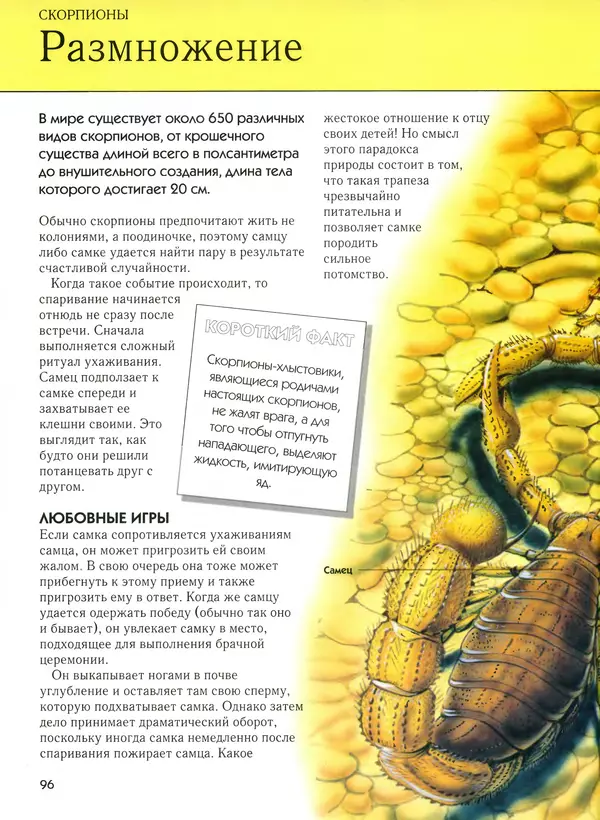  Автор неизвестен - Насекомые. Полная энциклопедия - Страница № 96