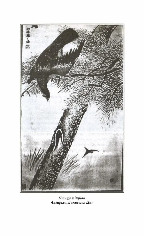 Иван Каменарович - Классический Китай - Страница № 309