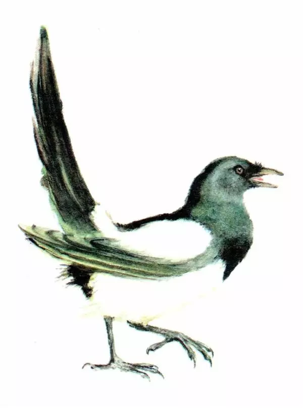 Самуил Маршак - Кто колечко найдёт? - Страница № 13