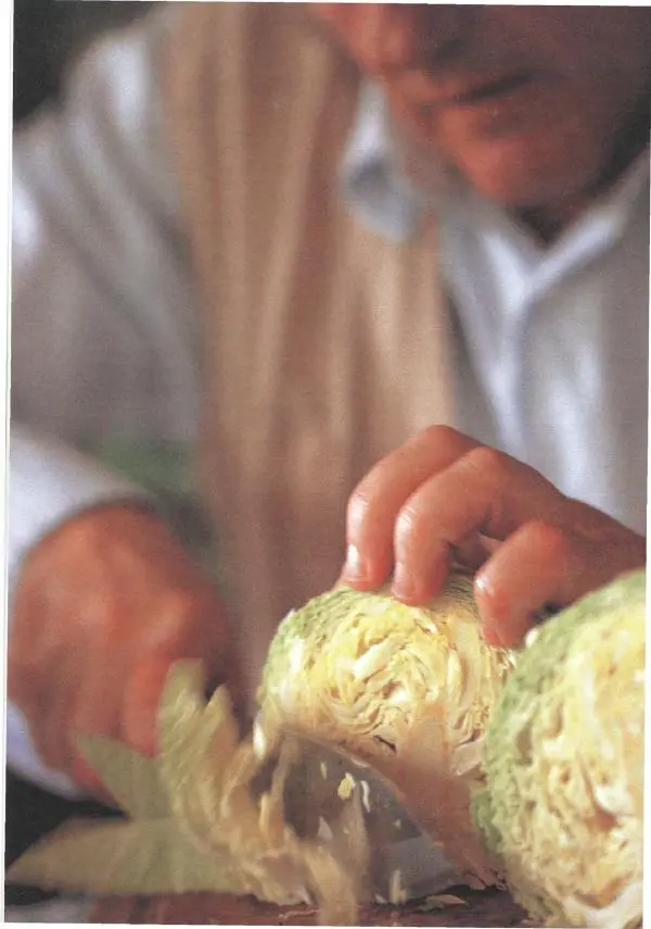 Жерар Депардье - Моя кухня - Страница № 31