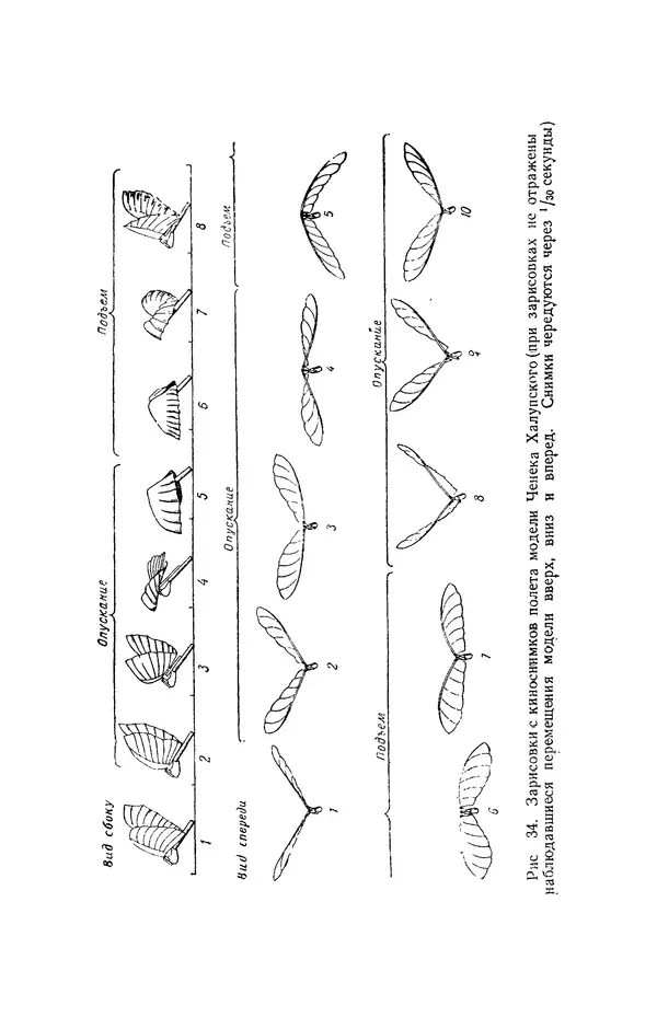 Григорий Васильев - Модели с машущими крыльями - Страница № 47