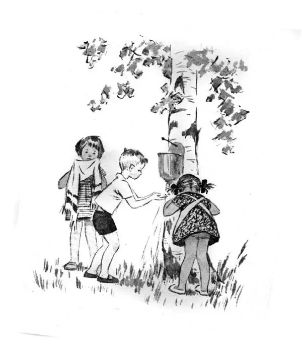 Зинаида Александрова - Ветер на речке - Страница № 14