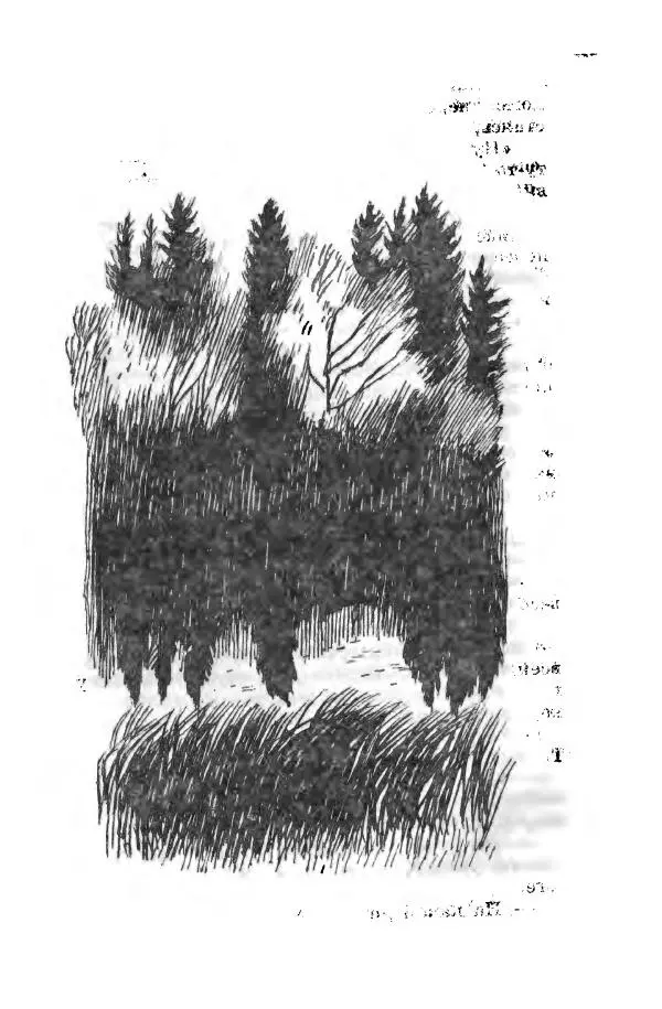 Лев Кузьмин - Избранное - Страница № 443