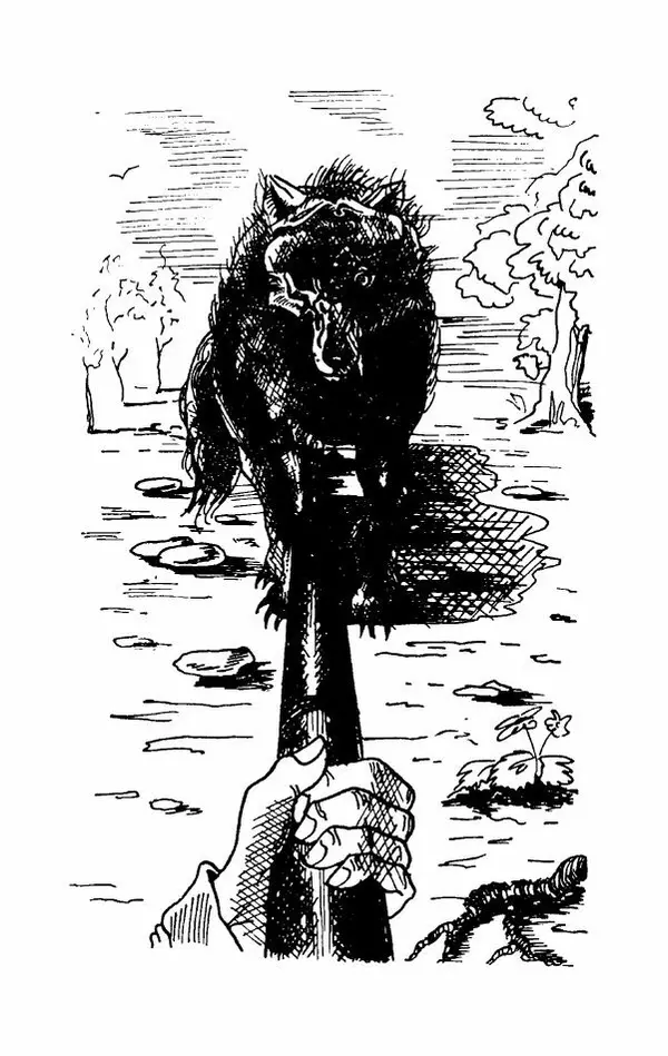 Эдуард Лабулэ - Избранные сказки - Страница № 96