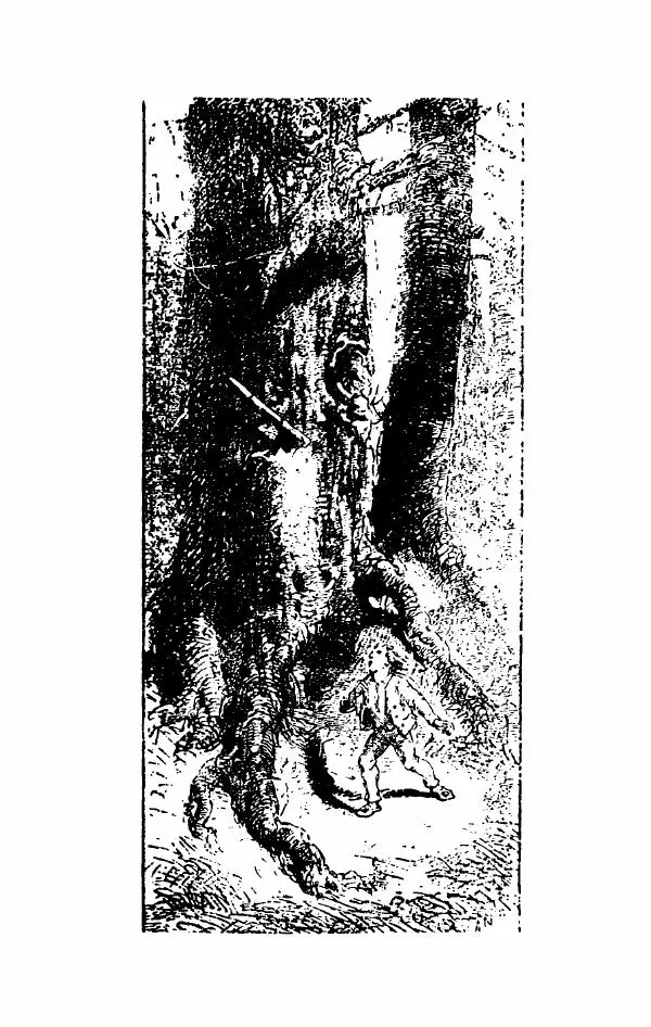 Эдуард Лабулэ - Избранные сказки - Страница № 157