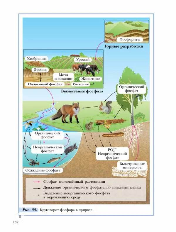 Н. Кузнецова - Химия. 9 класс - Страница № 182