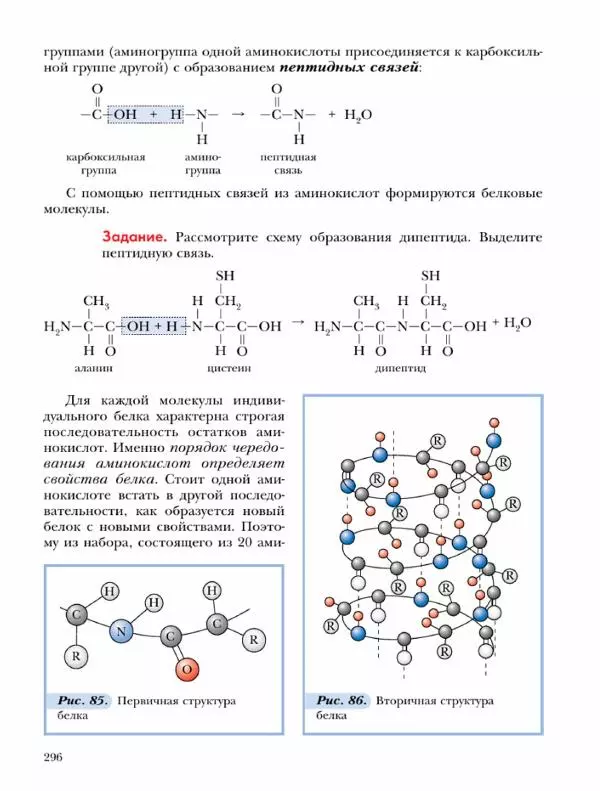 Н. Кузнецова - Химия. 9 класс - Страница № 296
