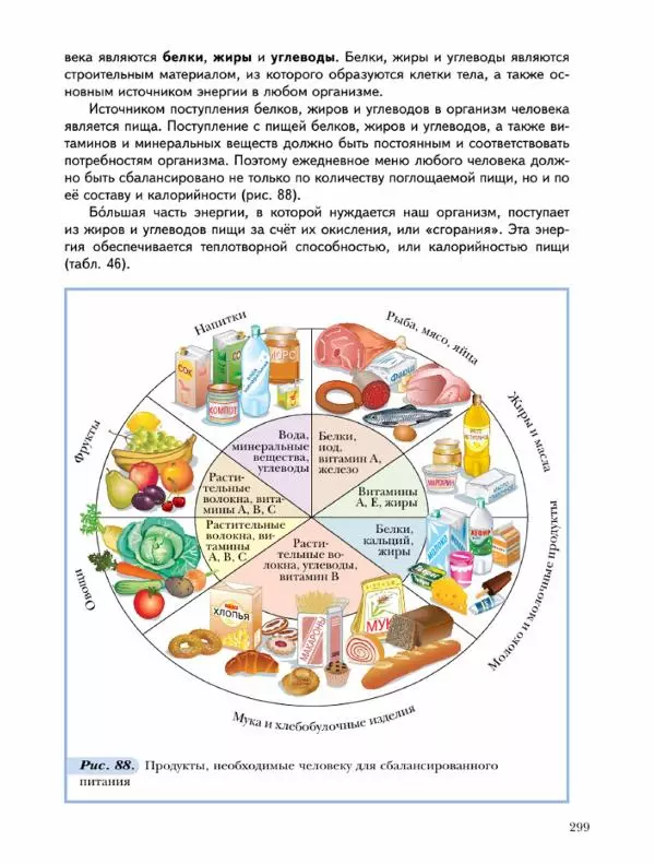 Н. Кузнецова - Химия. 9 класс - Страница № 299