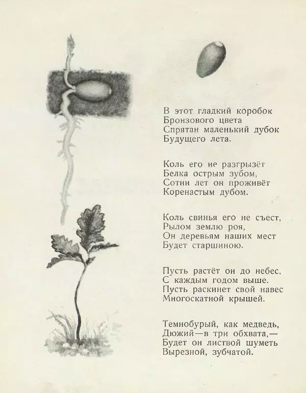 Самуил Маршак - Лесная книга - Страница № 16