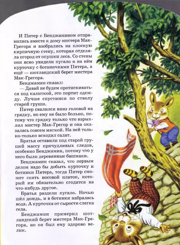 Беатрис Поттер - Про Питера-кролика - Страница № 13