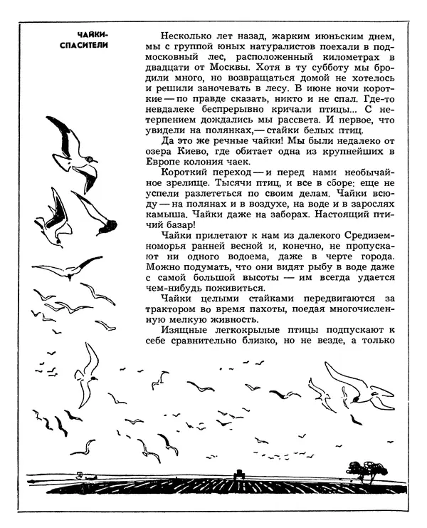 Борис Ржевский - Мозаика живых загадок - Страница № 106