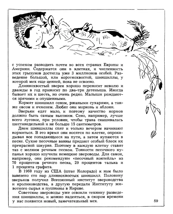 Борис Ржевский - Мозаика живых загадок - Страница № 61
