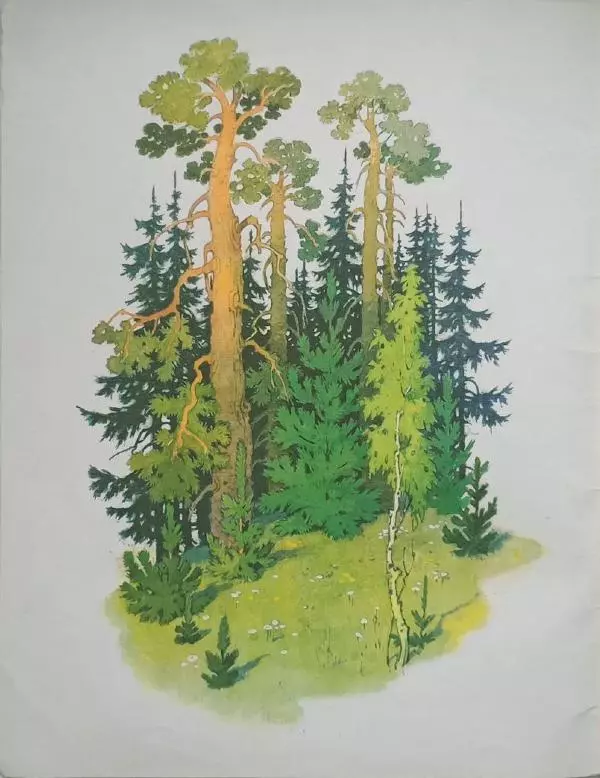 Сергей Афоньшин - Как сосна лосяток спасала - Страница № 2