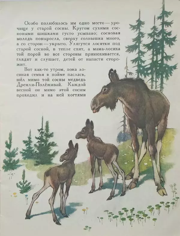 Сергей Афоньшин - Как сосна лосяток спасала - Страница № 5