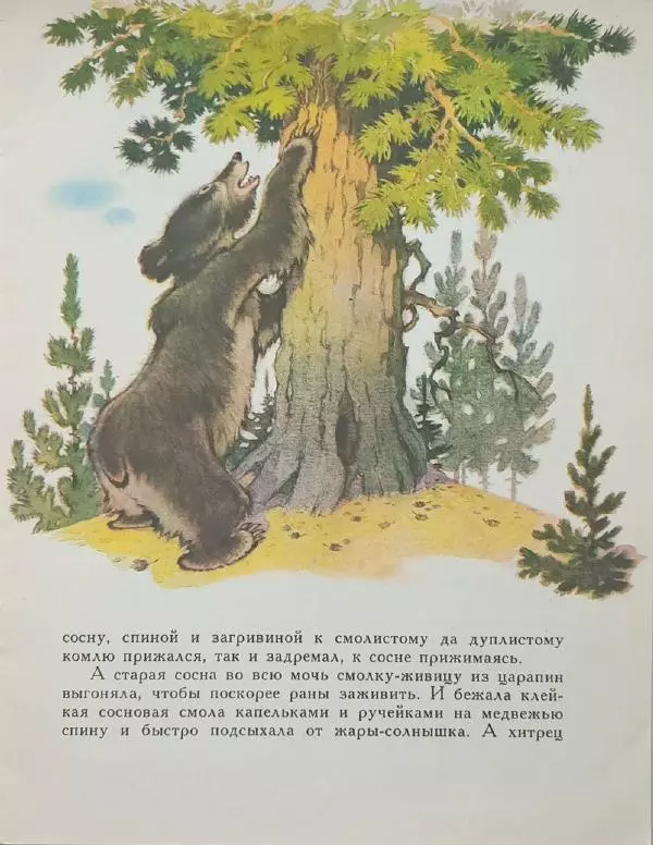 Сергей Афоньшин - Как сосна лосяток спасала - Страница № 7