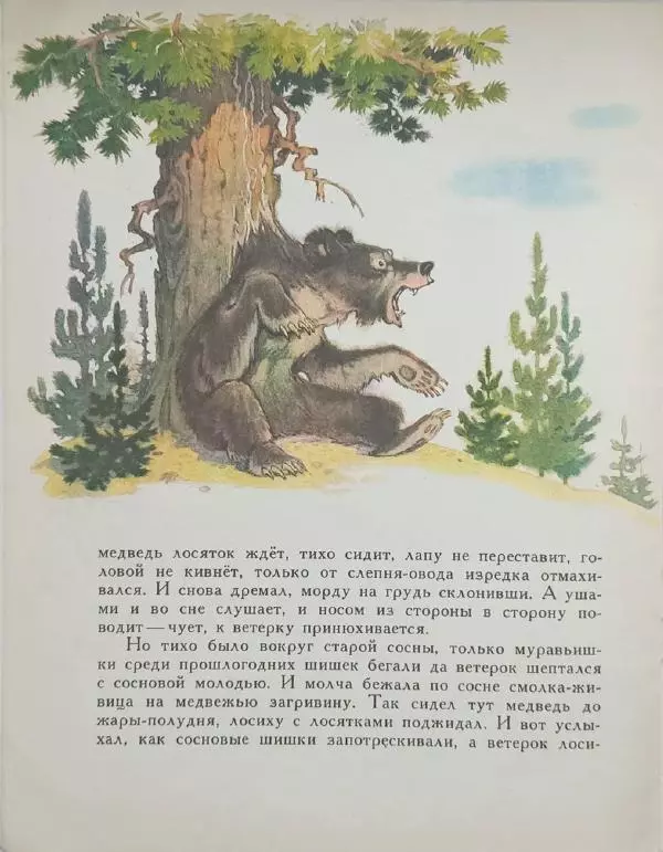 Сергей Афоньшин - Как сосна лосяток спасала - Страница № 8