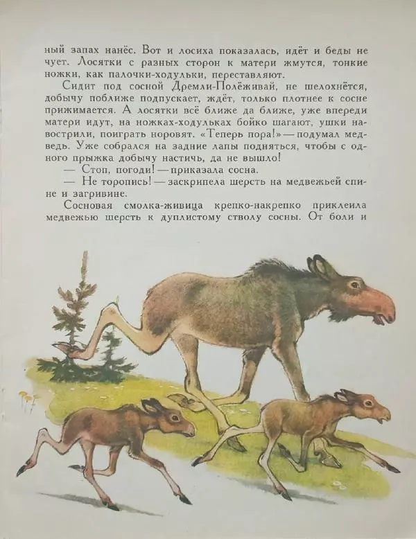 Сергей Афоньшин - Как сосна лосяток спасала - Страница № 9