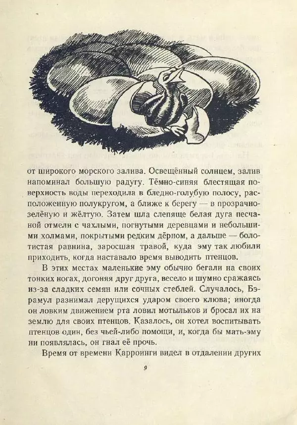 Лесли Риис - История Карроинги-эму - Страница № 10 Лесли Риис - История Карроинги-эму - Страница № 10