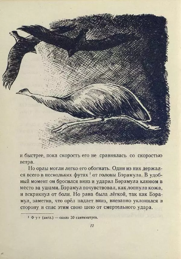 Лесли Риис - История Карроинги-эму - Страница № 13 Лесли Риис - История Карроинги-эму - Страница № 13