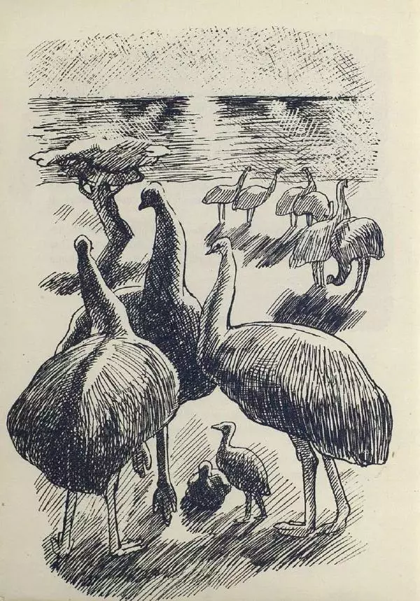 Лесли Риис - История Карроинги-эму - Страница № 15 Лесли Риис - История Карроинги-эму - Страница № 15