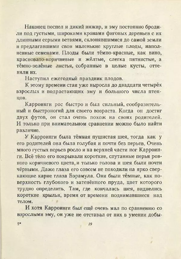 Лесли Риис - История Карроинги-эму - Страница № 19 Лесли Риис - История Карроинги-эму - Страница № 19