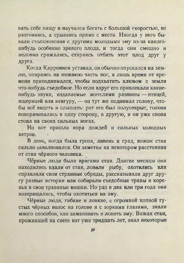 Лесли Риис - История Карроинги-эму - Страница № 20 Лесли Риис - История Карроинги-эму - Страница № 20