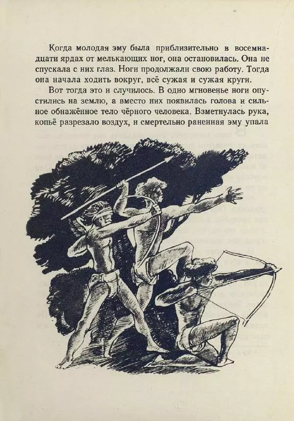 Лесли Риис - История Карроинги-эму - Страница № 25 Лесли Риис - История Карроинги-эму - Страница № 25