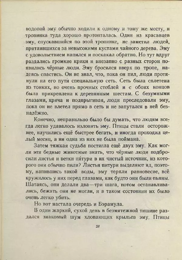 Лесли Риис - История Карроинги-эму - Страница № 27 Лесли Риис - История Карроинги-эму - Страница № 27