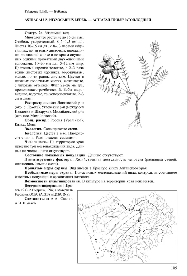  Коллектив авторов - Красная книга Алтайского края. Редкие и находящиеся под угрозой исчезновения виды растений. Том 1 - Страница № 105