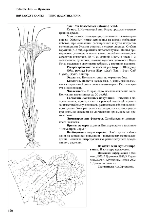  Коллектив авторов - Красная книга Алтайского края. Редкие и находящиеся под угрозой исчезновения виды растений. Том 1 - Страница № 120