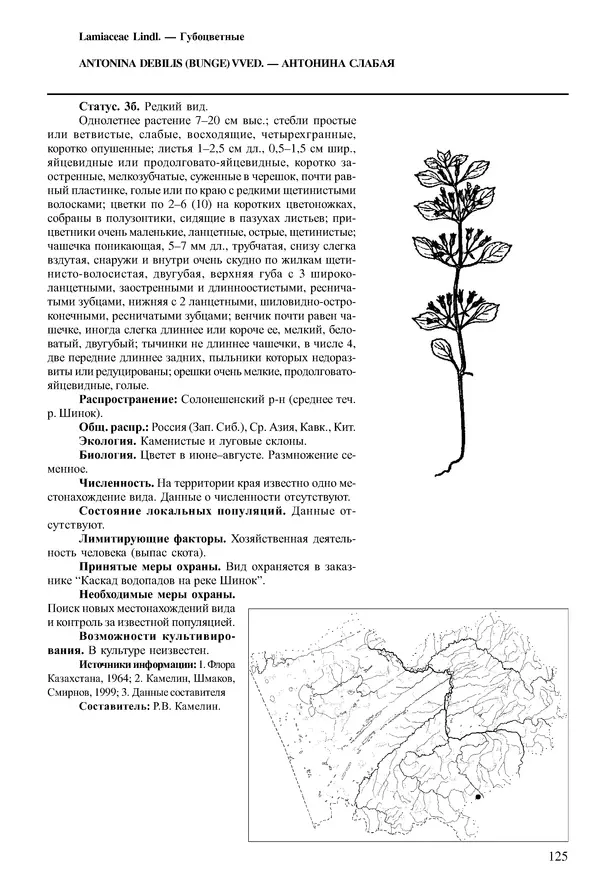  Коллектив авторов - Красная книга Алтайского края. Редкие и находящиеся под угрозой исчезновения виды растений. Том 1 - Страница № 125