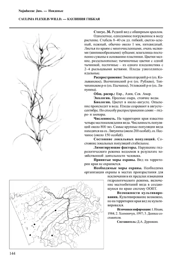  Коллектив авторов - Красная книга Алтайского края. Редкие и находящиеся под угрозой исчезновения виды растений. Том 1 - Страница № 144