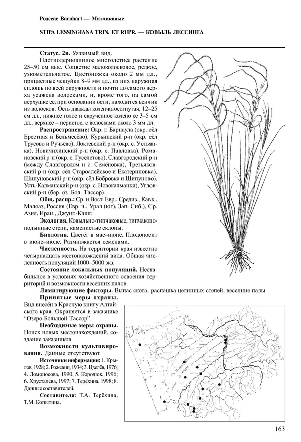  Коллектив авторов - Красная книга Алтайского края. Редкие и находящиеся под угрозой исчезновения виды растений. Том 1 - Страница № 163