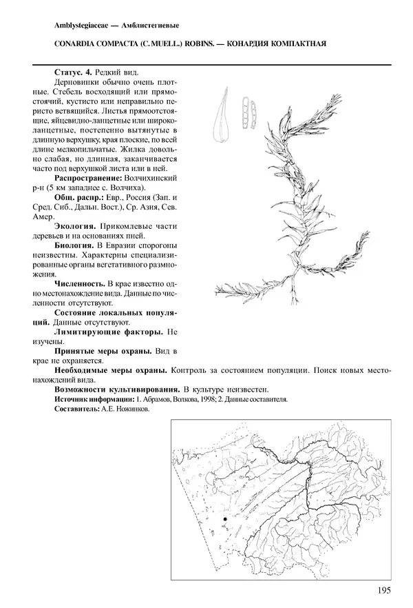  Коллектив авторов - Красная книга Алтайского края. Редкие и находящиеся под угрозой исчезновения виды растений. Том 1 - Страница № 195