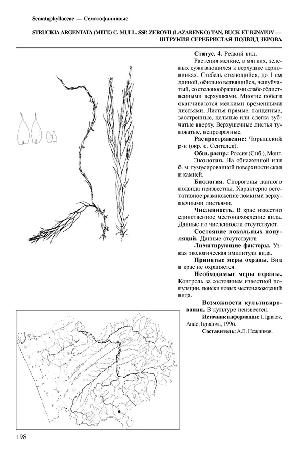  Коллектив авторов - Красная книга Алтайского края. Редкие и находящиеся под угрозой исчезновения виды растений. Том 1 - Страница № 198