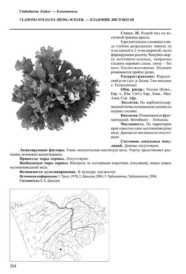  Коллектив авторов - Красная книга Алтайского края. Редкие и находящиеся под угрозой исчезновения виды растений. Том 1 - Страница № 204