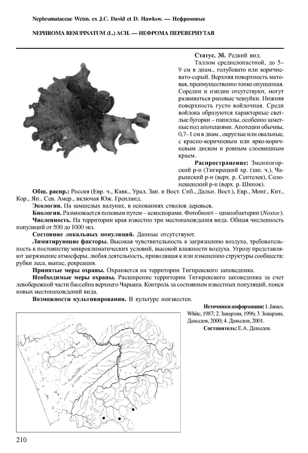  Коллектив авторов - Красная книга Алтайского края. Редкие и находящиеся под угрозой исчезновения виды растений. Том 1 - Страница № 210