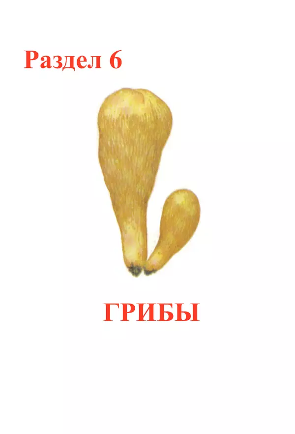  Коллектив авторов - Красная книга Алтайского края. Редкие и находящиеся под угрозой исчезновения виды растений. Том 1 - Страница № 225