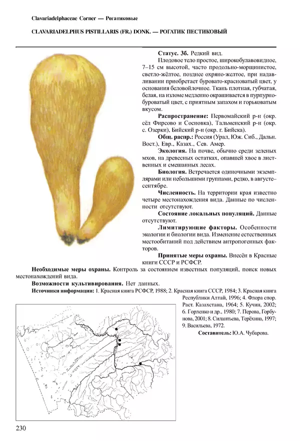  Коллектив авторов - Красная книга Алтайского края. Редкие и находящиеся под угрозой исчезновения виды растений. Том 1 - Страница № 230