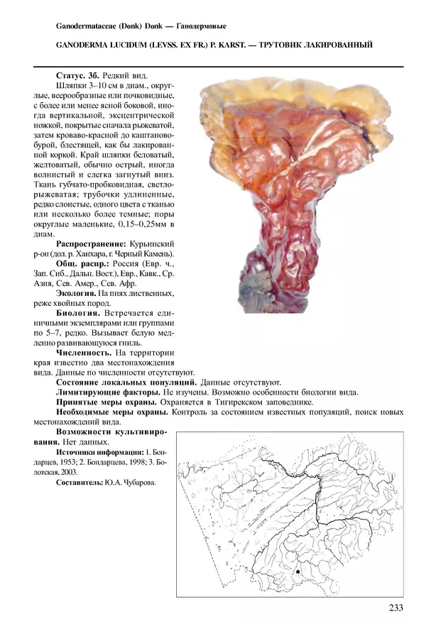  Коллектив авторов - Красная книга Алтайского края. Редкие и находящиеся под угрозой исчезновения виды растений. Том 1 - Страница № 233