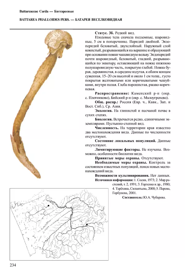  Коллектив авторов - Красная книга Алтайского края. Редкие и находящиеся под угрозой исчезновения виды растений. Том 1 - Страница № 234
