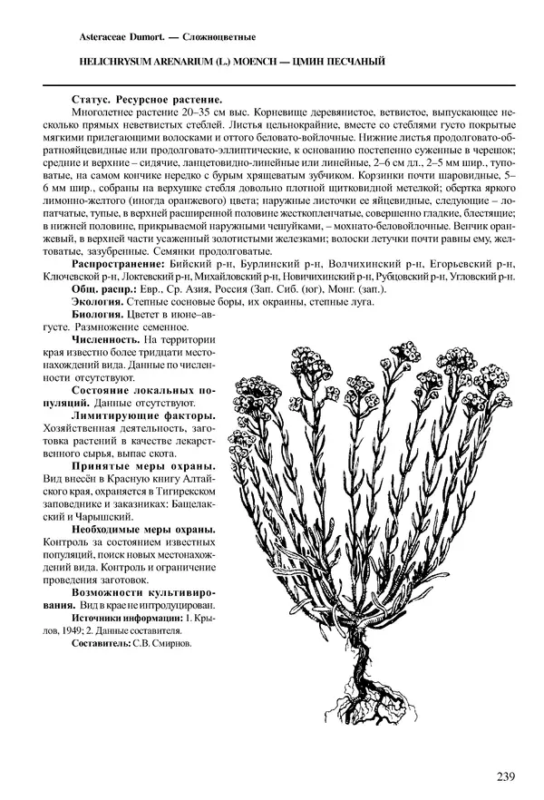  Коллектив авторов - Красная книга Алтайского края. Редкие и находящиеся под угрозой исчезновения виды растений. Том 1 - Страница № 239
