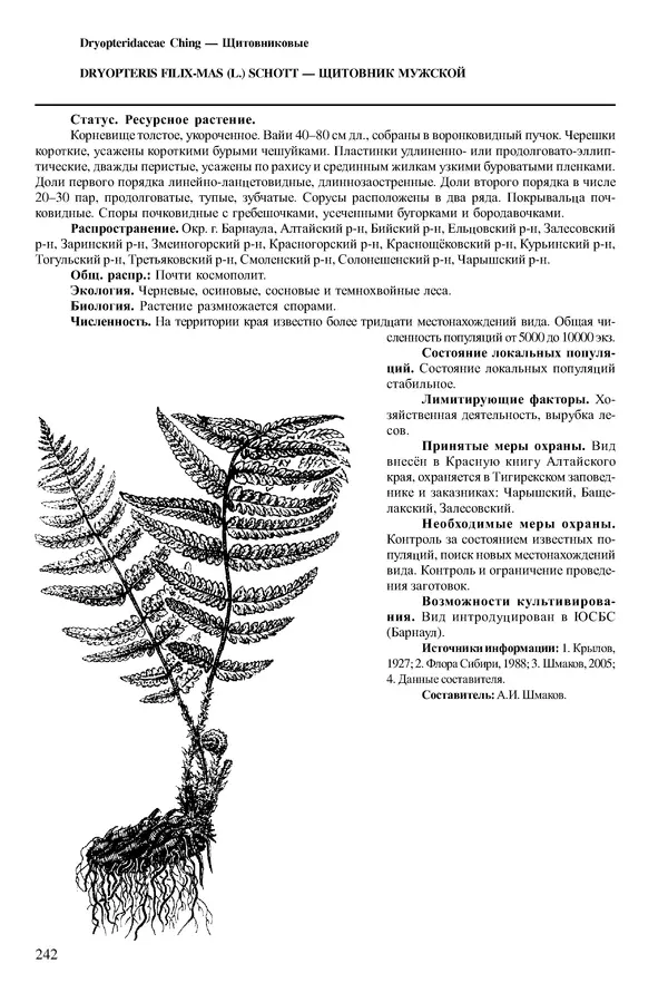  Коллектив авторов - Красная книга Алтайского края. Редкие и находящиеся под угрозой исчезновения виды растений. Том 1 - Страница № 242