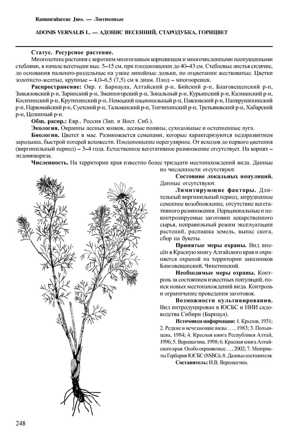  Коллектив авторов - Красная книга Алтайского края. Редкие и находящиеся под угрозой исчезновения виды растений. Том 1 - Страница № 248